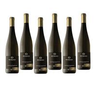 GEWURZTRAMINER SUDTIROL ALTO ADIGE DOC - STOASS - 75 CL 6 BOTTIGLIE