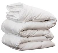 GFFerrari - CALDO PIUMINO INVERNALE 350 gr/m² EXPO IL PIUMONE IN FIBRA VARIE MISURE (LETTO MATRIMONIALE DUE PIAZZE 250 * 200 cm)