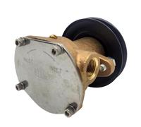 GFJHFDCR Pompa Acqua Grezza con puleggia 2673732 344371 344089 Compatibile con generatore G906P G907P 4-6 KW 12,5KW Gas JPR-KL101P2
