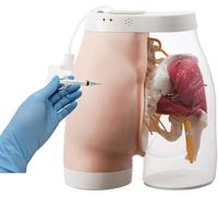 GFLCWYP Modello di allenamento per iniezione intramuscolare di glutei trasparenti,Iniezione intramuscolare di glutei e modello di confronto,Facile da osservare,Modello di insegnamento