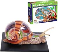 GFLCWYP Modello di anatomia delle lumache visione 4D,Modello struttura dell'organo delle lumache,Kit dissezione simulato delle lumache,32 parti Organi lumache rimovibili e modello parti del corpo
