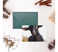 GFLFMXZW Divertente biglietto di San Valentino carino nero animale capra biglietti di auguri vuoti con buste biglietto di compleanno biglietto di nozze biglietto di simpatia Thinking of You Card