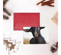 GFLFMXZW Divertente biglietto di San Valentino carino nero animale capra biglietti di auguri vuoti con buste biglietto di compleanno biglietto di nozze biglietto di simpatia Thinking of You Card