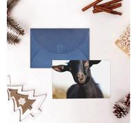 GFLFMXZW Divertente biglietto di San Valentino carino nero animale capra biglietti di auguri vuoti con buste biglietto di compleanno biglietto di nozze biglietto di simpatia Thinking of You Card