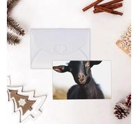 GFLFMXZW Divertente biglietto di San Valentino carino nero animale capra biglietti di auguri vuoti con buste biglietto di compleanno biglietto di nozze biglietto di simpatia Thinking of You Card