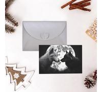 GFLFMXZW Divertente biglietto di San Valentino con lupi amore sotto la luna animali selvatici biglietti di auguri vuoti con buste biglietto di compleanno biglietto di nozze biglietto di simpatia