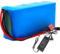 GFRYSBMQ Batteria per Bici elettrica 24V 25.2V 6000Mah Batteria per Bicicletta elettrica 6S2P Batteria Impermeabile per Motore da 100W 250W 350W 500W Bici elettrica Moto Scooter con Caricabatterie