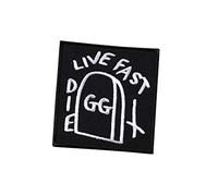 GG ALLIN, Bulgethe Toilet Rockers, Bloody Mess & The Skabsthe Southern Baptists, Murder Junkies, Dee Ramone, Primates, 666 Ricamato Ferro su Applique Souvenir Accessorio
