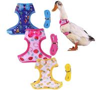 GGAUBAIFI Set di 3 pettorine e guinzagli Cole per Anatre, Imbracatura e guinzaglio per Anatre Vere, Corda da Passeggio Regolabile, Corda di trazione per Animali Domestici, per Galline, Conigli (M)