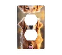GGNKDL Bella Golden Retriever Dog stampa Doppia presa pannello a parete copertura di alimentazione domestica durevole per prese decorative e interruttori