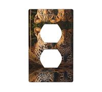 GGNKDL Due fratelli leopardati che stampano la copertura di potere domestica del pannello di parete dell'incavo doppio durevole per le prese decorative ed i commutatori