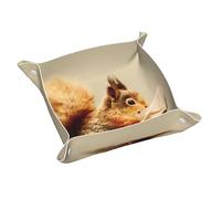 Ggnkdl Vassoio portaoggetti in pelle con stampa di scoiattolo che legge un libro, in PVC di media qualità, vassoio in pelle double-face per una comoda conservazione e organizzazione