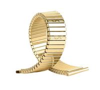 GGYTMQL Accessori per orologi per orologi da braccialette per orologi per orologi in metallo elastico in acciaio inossidabile