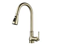 GGYTMQL Bronzo Rubinetto Della Cucina con Estrarre Spruzzatore E Freddo Tropical Mixer Ottone Antico Lavello Gru Rubinetto EL9021