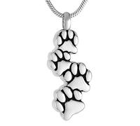 GGYTMQL Bulletto in Acciaio Inossidabile a Sospensione per Piante Pet Ceneri Collana in Acciaio Inossidabile a Quattro Cani Cremazione Cremazione Cenere di Gioielli Caspetti Animal