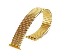 GGYTMQL Cingcio di orologio elastico in metallo 12 mm 14mm 16mm 18 mm 20 mm Espansione elastica in acciaio inossidabile Watch Band Uomo da donna Accessori da bracciale