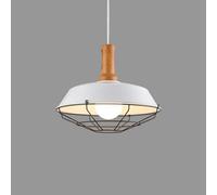 GGYTMQL Lampada da Ristorante Single Teste Front - personalità Piccolo lampadario Stile Industriale - Modern Minimalist Bar Restauranti Lampade di Copertura Colorate (Verde, 26 cm)