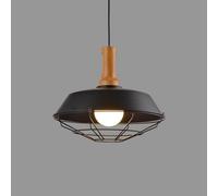 GGYTMQL Lampada da Ristorante Single Teste Front - personalità Piccolo lampadario Stile Industriale - Modern Minimalist Bar Restauranti Lampade di Copertura Colorate (Verde, 26 cm)