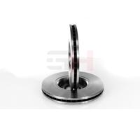 GH 2X Disco Freno Anteriore Per Citroën C5 I DC_ 2.0 16V 1.8 DE_ 2.2 HDi RE_