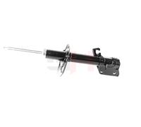 Coppia Ammortizzatori a Gas Anteriore Destro+Sinistro GH-352206H/V