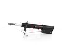 GH Ammortizzatore Asse Ant. Adatto A per BMW X5 E53 3.0d 3.0i