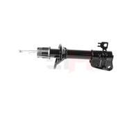 GH Ammortizzatore Asse SX per Land Rover Freelander LN _ Morbido Top