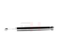 GH Ammortizzatore Posteriore Adatto Per Nissan Juke F15 1.6 1.2 DIG-T