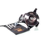 GH Braccio Oscillante Sospensione Anteriore Sinistra Per Peugeot 206 Berlina