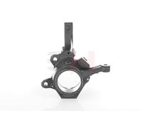 GH Braccio Oscillante Sospensione Anteriore Sinistra Per Renault Kangoo KC0/1