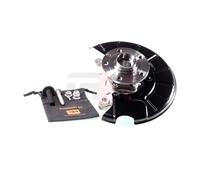 GH Braccio Oscillante Sospensione Anteriore Sinistra Per VW Passat Variant 365