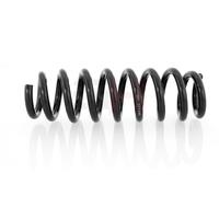 1x Molla suspensione Posteriore GH-221590