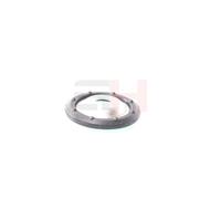 GH GH-361910 Supporto ammortizzatore