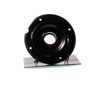 1x Piastra a molla Anteriore GH-361961A