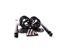 GH Kit Sospensioni Molle/Amortizzatori Posteriore Per VW Sharan 7M8 7M9 7M6 1.9