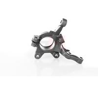 GH Nocca Sospensione Ruota Asse Anteriore Sinistro per Renault Clio II (BB _ CB