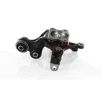 GH Nocca Sospensione Ruota Asse Posteriore Sinistro per Hyundai IX35 Lm 2.0 1.7