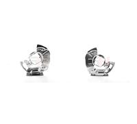 GH Set Spritzblech Ankerblech Bremsscheibe Davanti Adatta Per BMW 5er E39