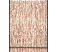 Ghada Amer. Catalogo della mostra (Roma, 25 maggio-30 settembre 2007). Ediz. italiana e inglese