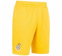 Ghana PUMA FtblCulture Uomo Corto 772468-08 giallo M