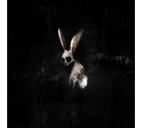 GHÃSTKID - FOLLOW THE WHITE RABBIT