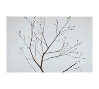GHBNK Zerbino per interni, tappetino per porta anteriore e posteriore, isolato, astratto, ramo di albero, antiscivolo, assorbente, tappetino da cucina, lavabile, tappetino da esterno, per casa