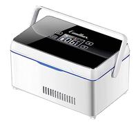 GHBSDNEPP Dispositivo di raffreddamento portatile per insulina USB, refrigeratore portatile per insulina di grande capacità, con palo portatile, può contenere 6-9 penne per iniezione, 2 batterie/1