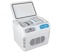 GHBSDNEPP Frigorifero elettrico portatile per insulina, 12 l, per 2 - 8 farmaci per il diabete, isolati, per auto, viaggi, casa