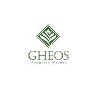 Gheos MSM Funzionale Integratore Alimentare 120 Capsule