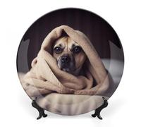 GHEPSDW Cane in una coperta pannelli decorativi osso porcellana piatto per display piatti da pranzo in ceramica per tavolo piatto da dessert con supporto per la decorazione della casa soggiorno