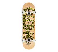 GHETTO BLASTER Skateboard 80x20cm-Skateboard Bambino-Skateboard Adulto-Skateboard Professionale da Strada, da Trick già assemblato - Tavola Acero 7 Strati - Cusc ABEC 9 - Ruote 53mm -Peso Max 90kg