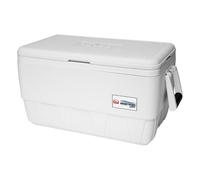 Ghiacciaia Igloo MARINE ULTRA 36 - 34 Lt