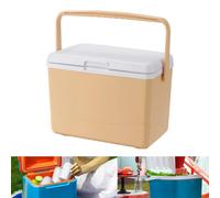 Ghiacciaia isolata, contenitore termico per la conservazione del ghiaccio, per