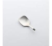 Ghiaccio Spoon-Raw Silver