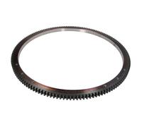 Ghiera del volano BF 20090347105